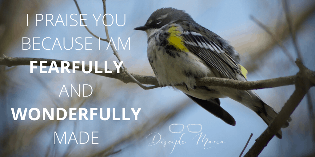 I praise you because I am fearfully and wonderfully made | Brianna Martin