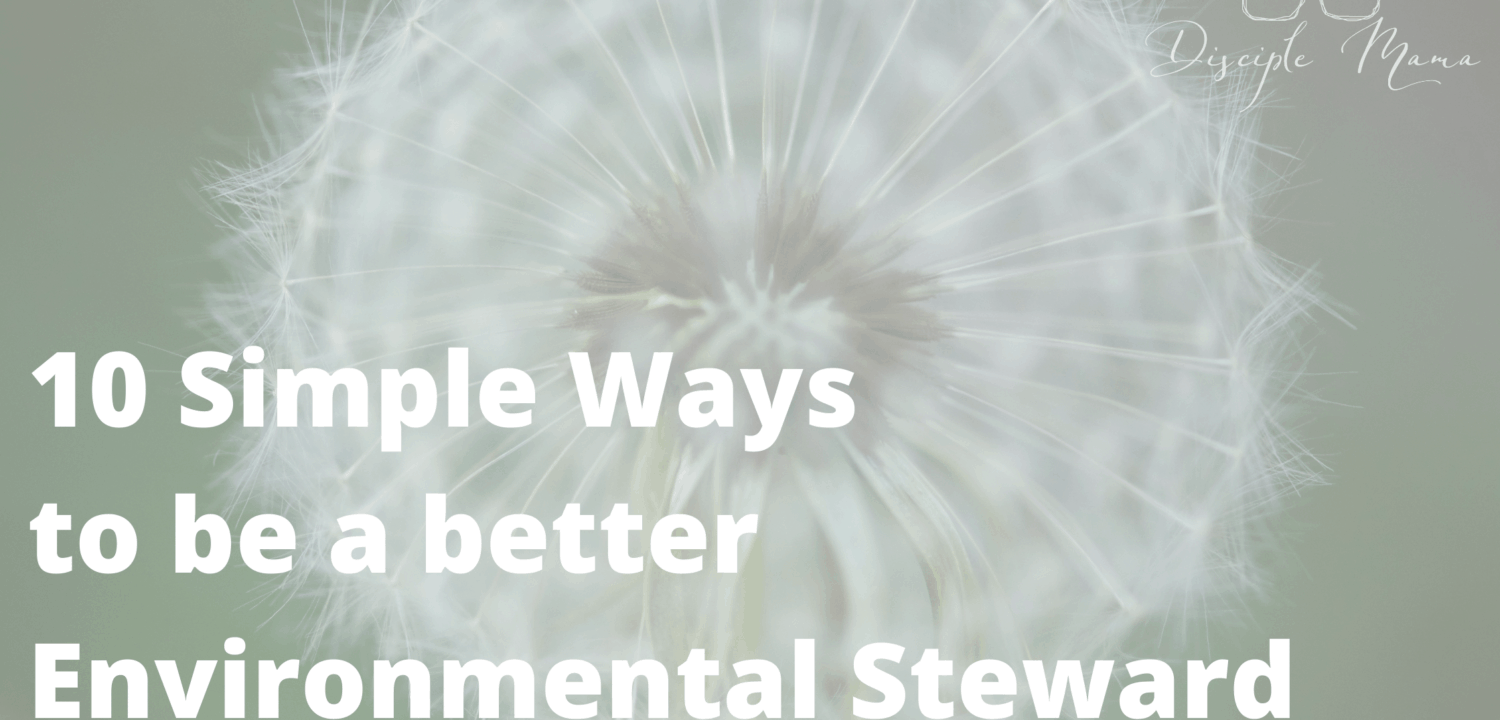 10 Simple Ways to Be a Better Steward of the Earth